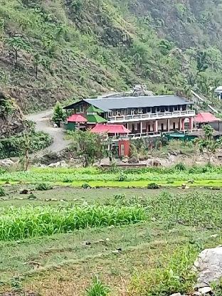 zeiv hermitage natures symphony