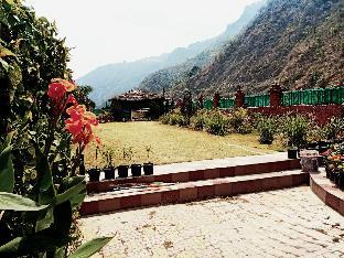 zeiv hermitage natures symphony