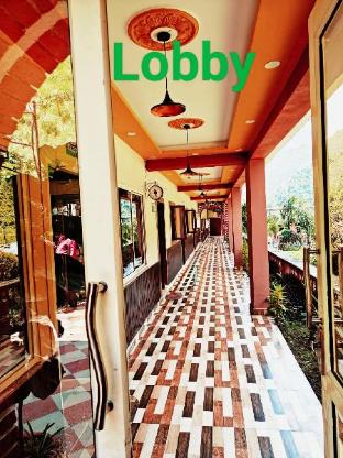 zeiv hermitage natures symphony