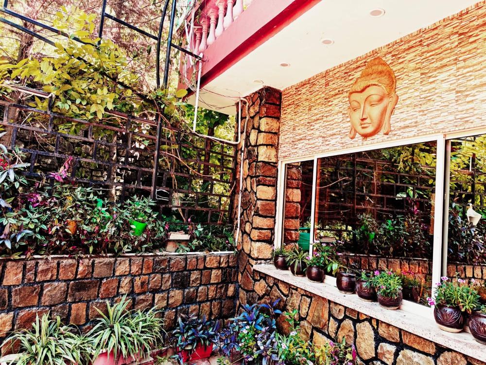 zeiv hermitage natures symphony