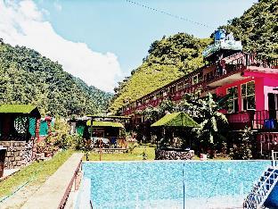 zeiv hermitage natures symphony