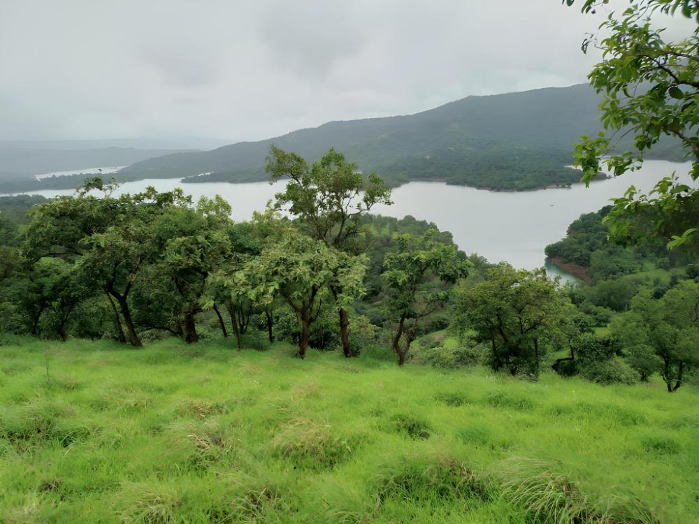 radhika wooden villas