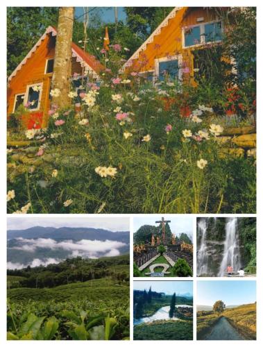 vamoose cheeyabari oaks homestay