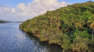 aranya home stay malvan