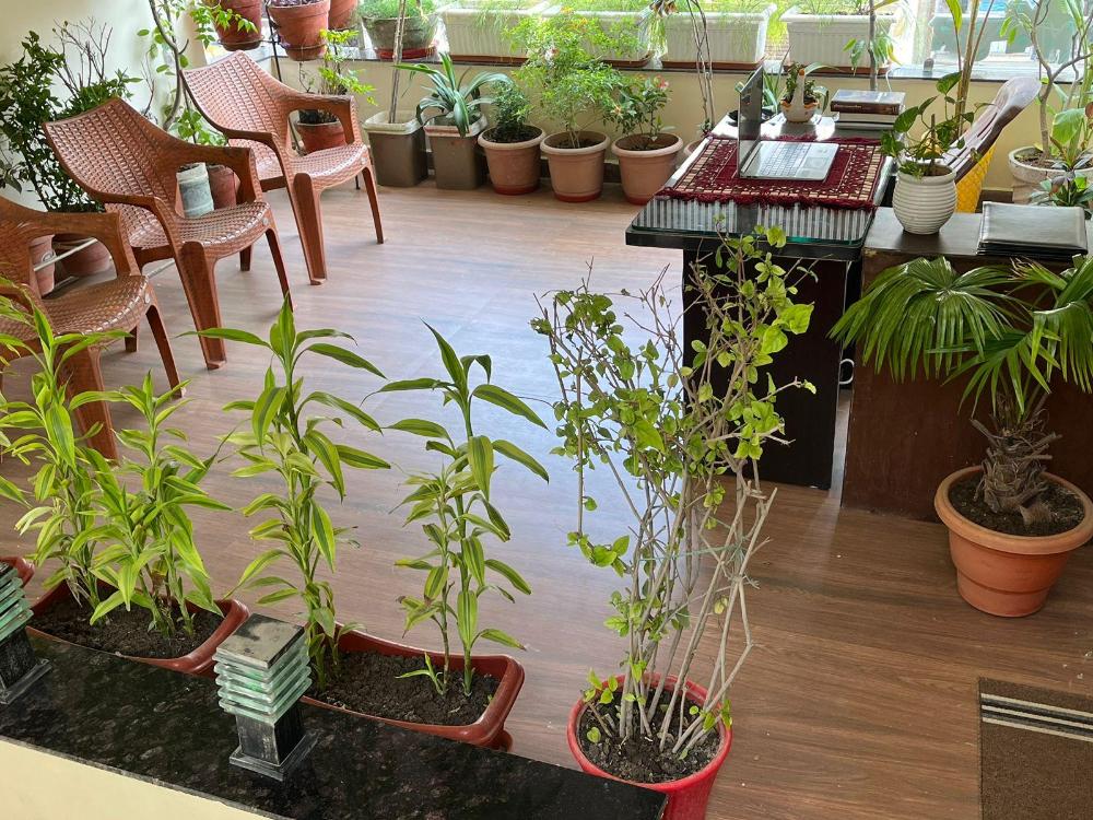 hotel shivashray luxury stays and inn