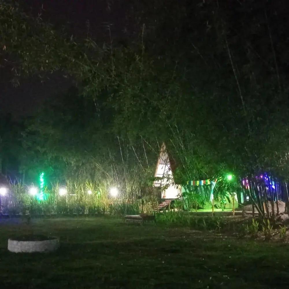 mayang