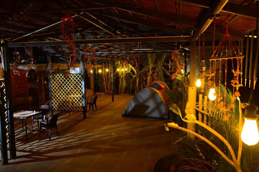 dandeli boutique jungle resort