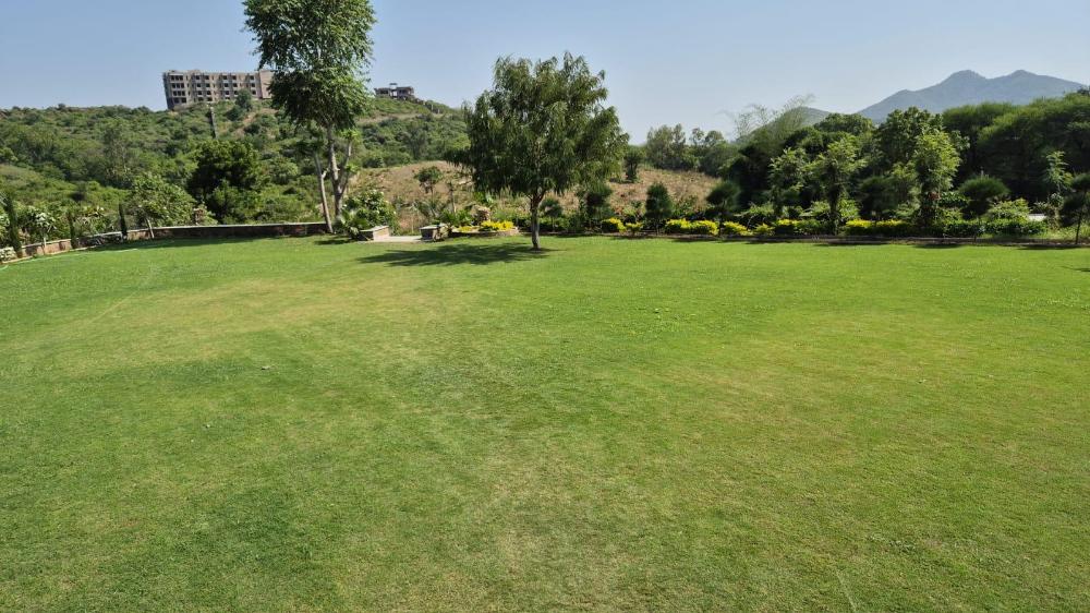 umber tree a nature side heaven resort