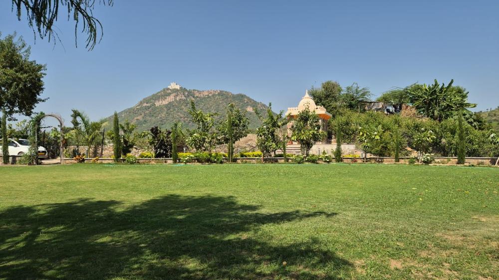 umber tree a nature side heaven resort