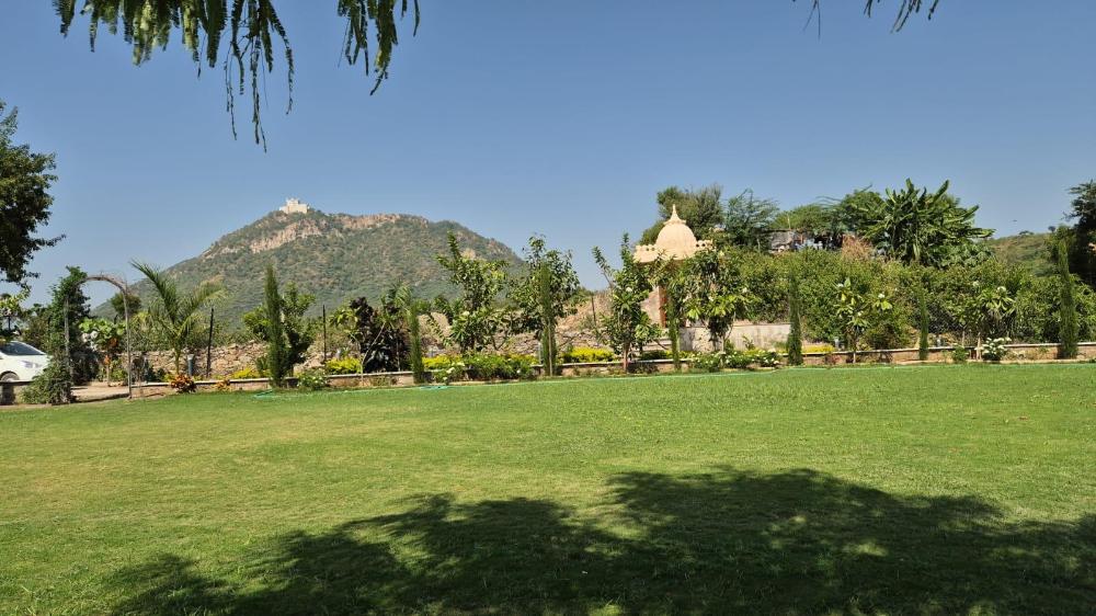 umber tree a nature side heaven resort