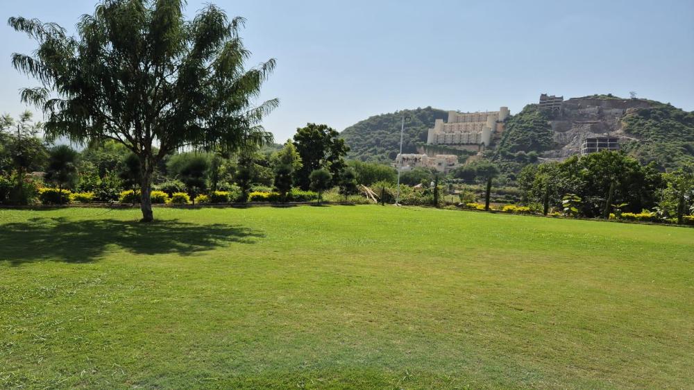 umber tree a nature side heaven resort