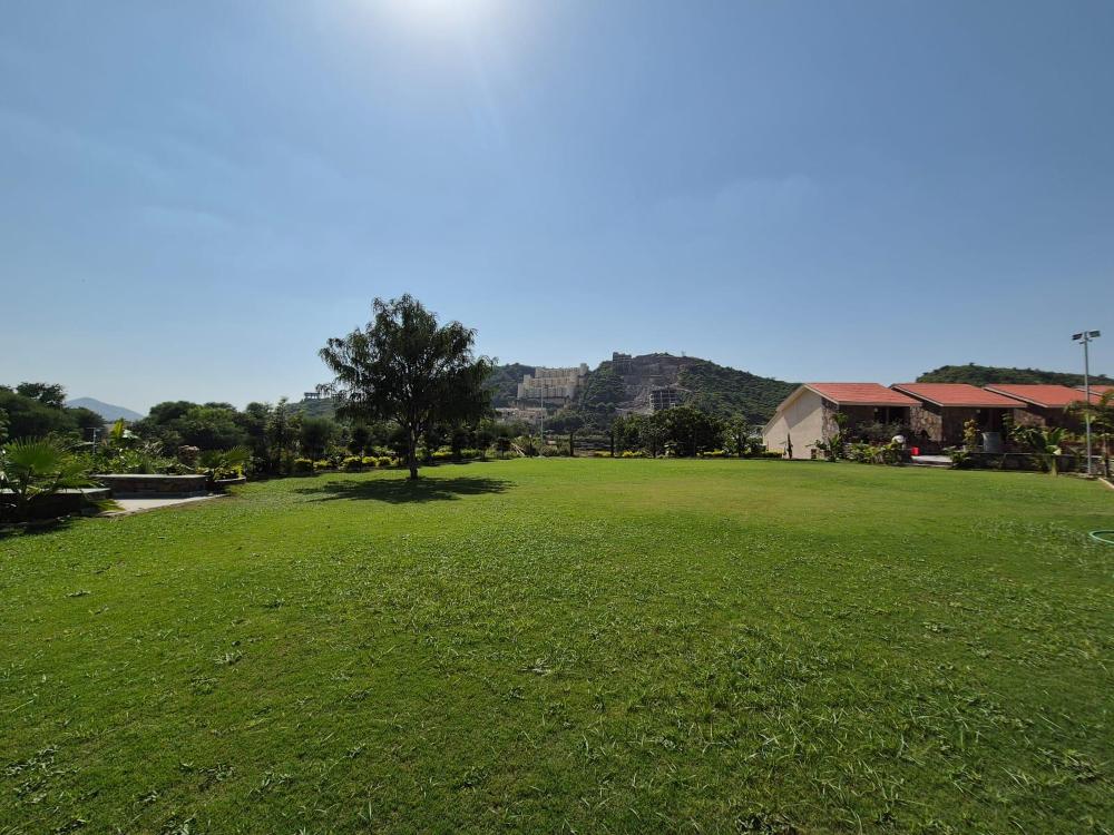 umber tree a nature side heaven resort