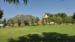 umber tree a nature side heaven resort