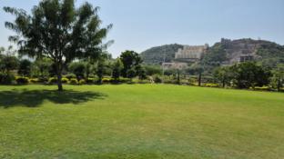 umber tree a nature side heaven resort