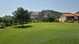 umber tree a nature side heaven resort