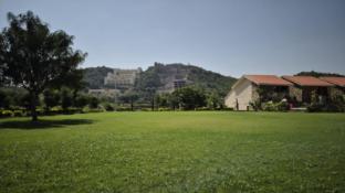 umber tree a nature side heaven resort