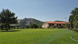 umber tree a nature side heaven resort