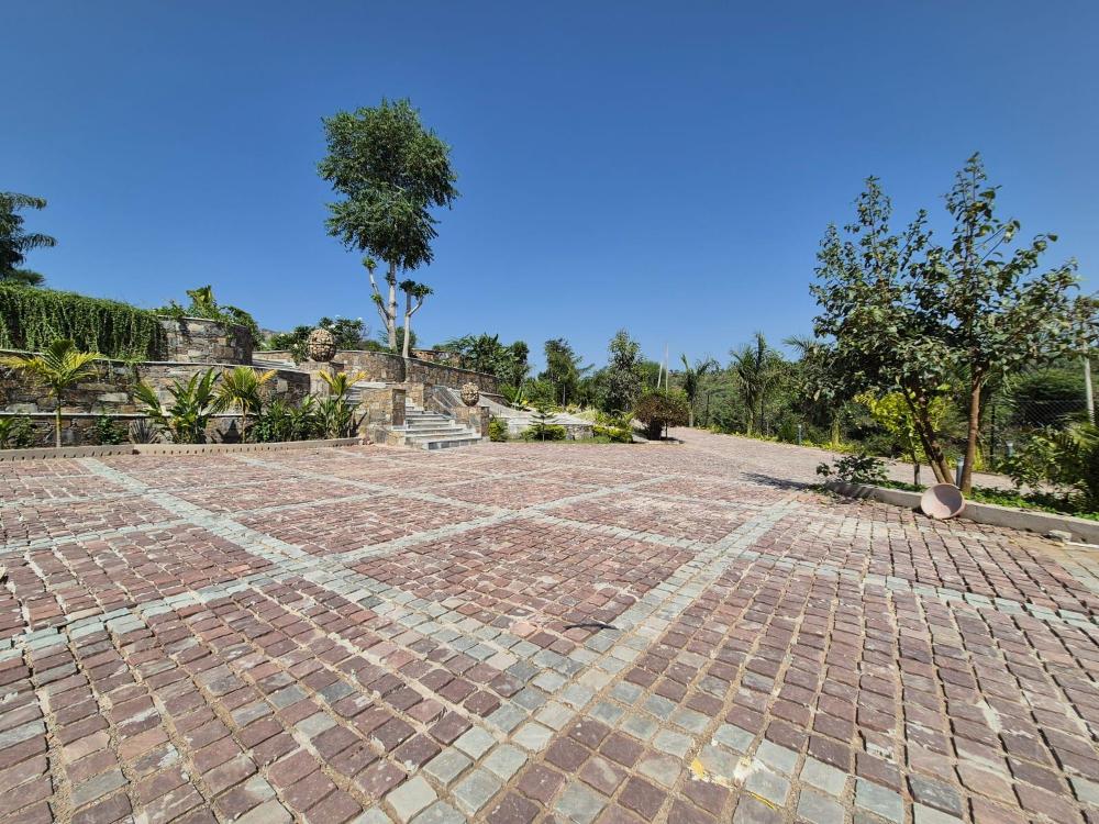 umber tree a nature side heaven resort