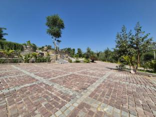 umber tree a nature side heaven resort