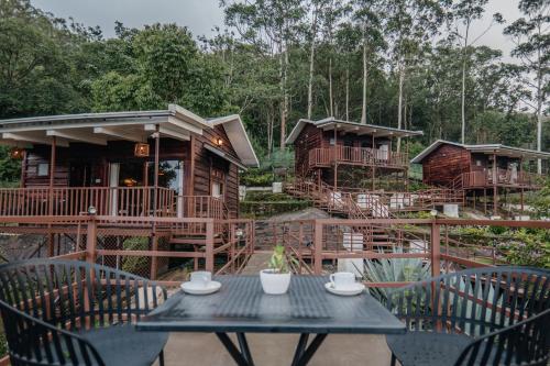 hilltop munnar by fracspace