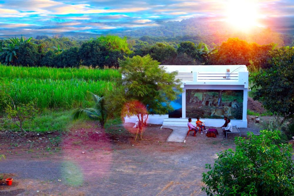 lions safari farm and resort