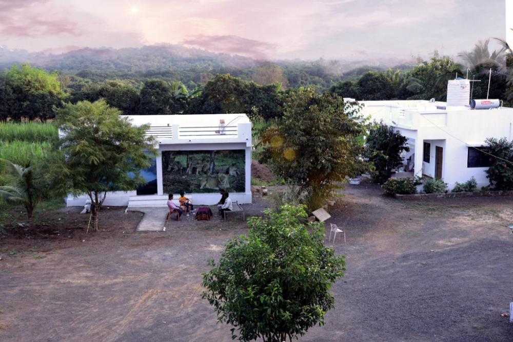 lions safari farm and resort