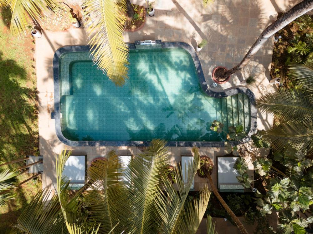 altr nativ morjim goa