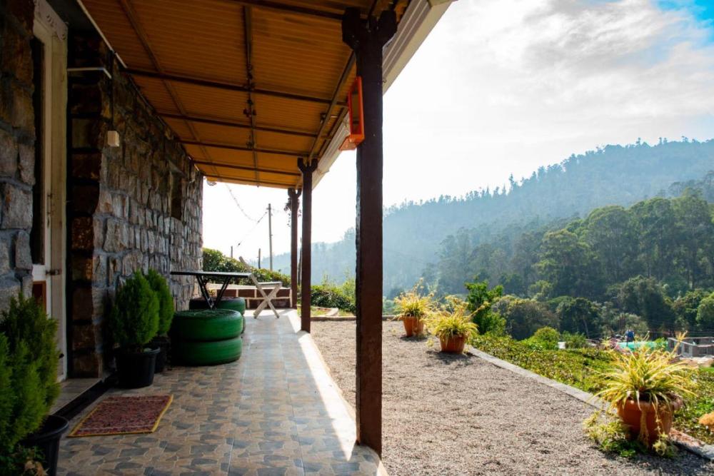 wild and free farm stay