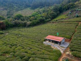 wild and free farm stay