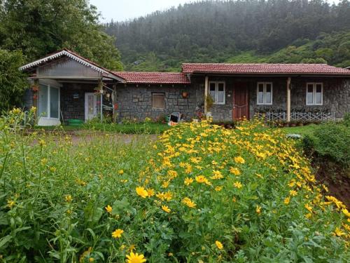 wild and free farm stay