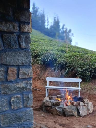 wild and free farm stay