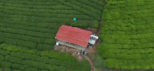 wild and free farm stay