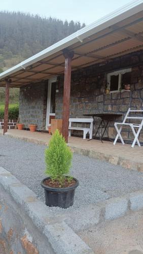 wild and free farm stay