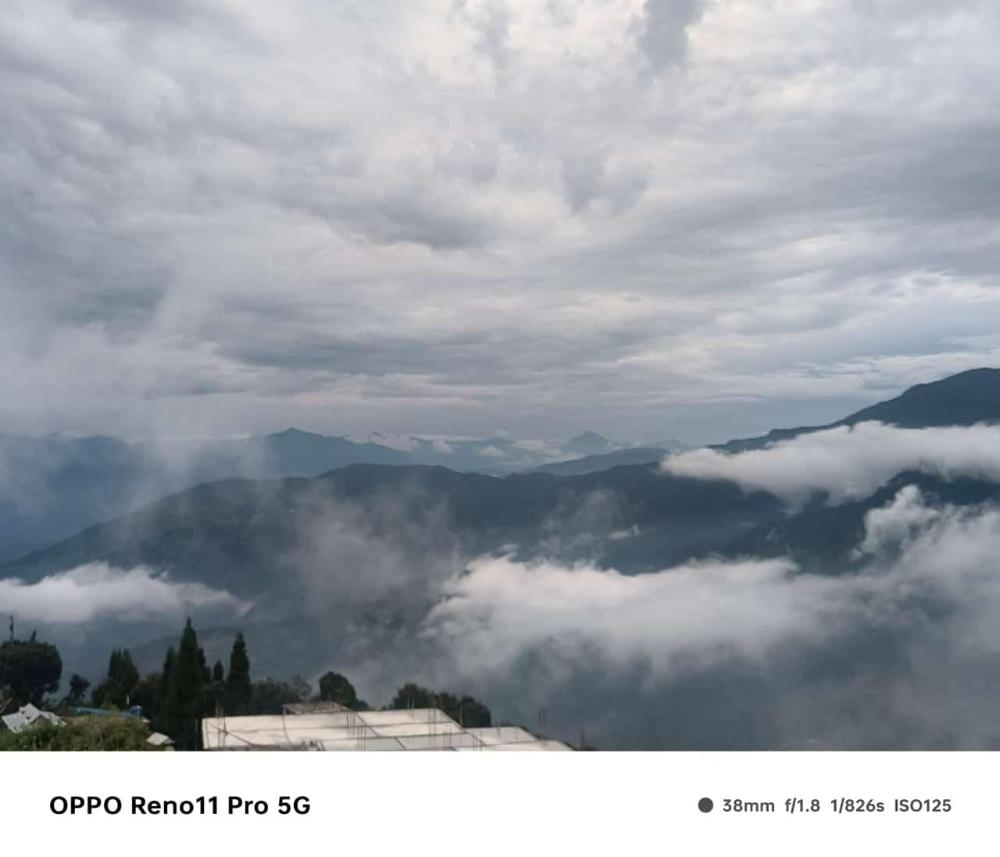 rishop mountain homestay