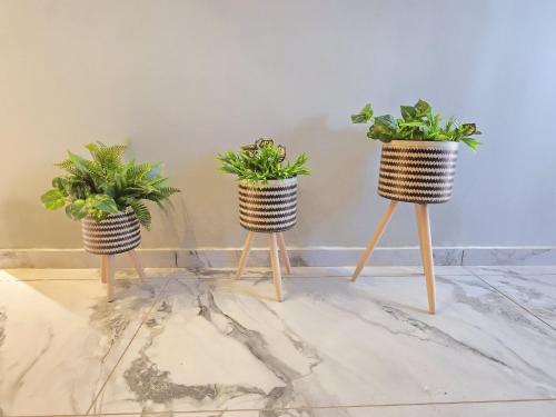 hotel m park gadhinagar