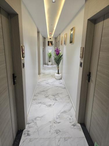 hotel m park gadhinagar