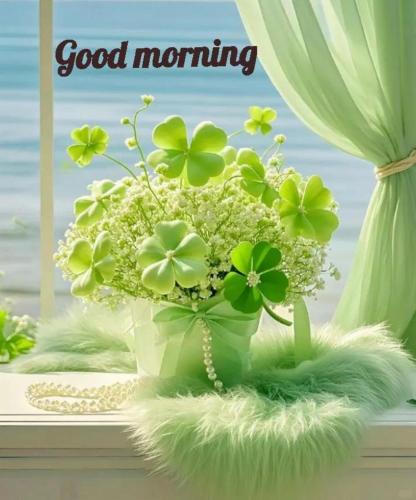 teja residency near isha yoga foundation