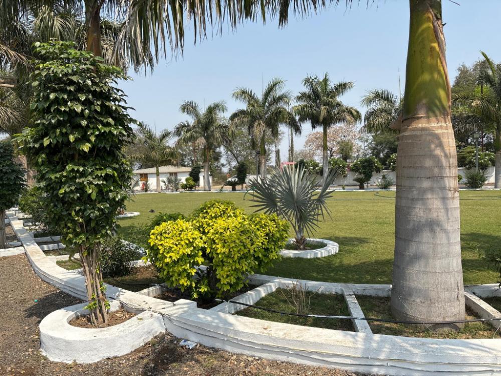 hotel mushak by bappa palace