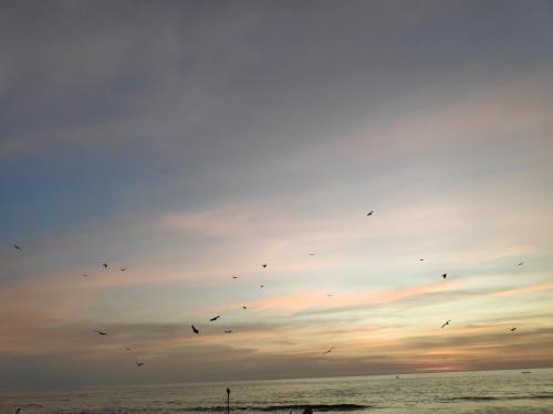 redkar rooms gokarna beach front ac and non ac rooms