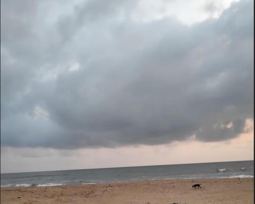 redkar rooms gokarna beach front ac and non ac rooms