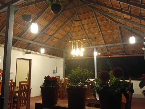 wooden pearl homestay