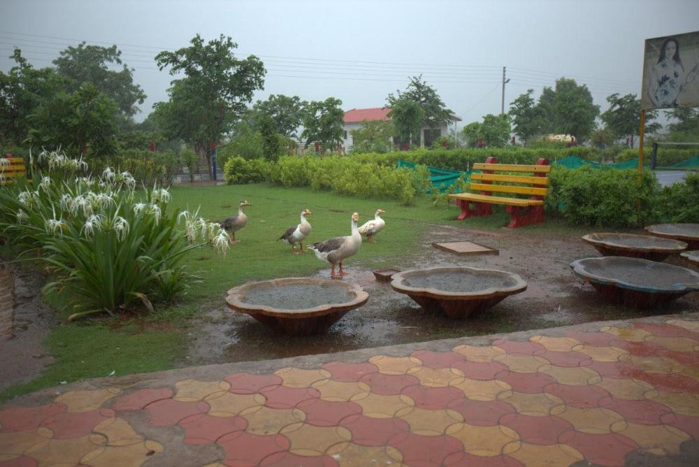 break the routine by mynirvana stays