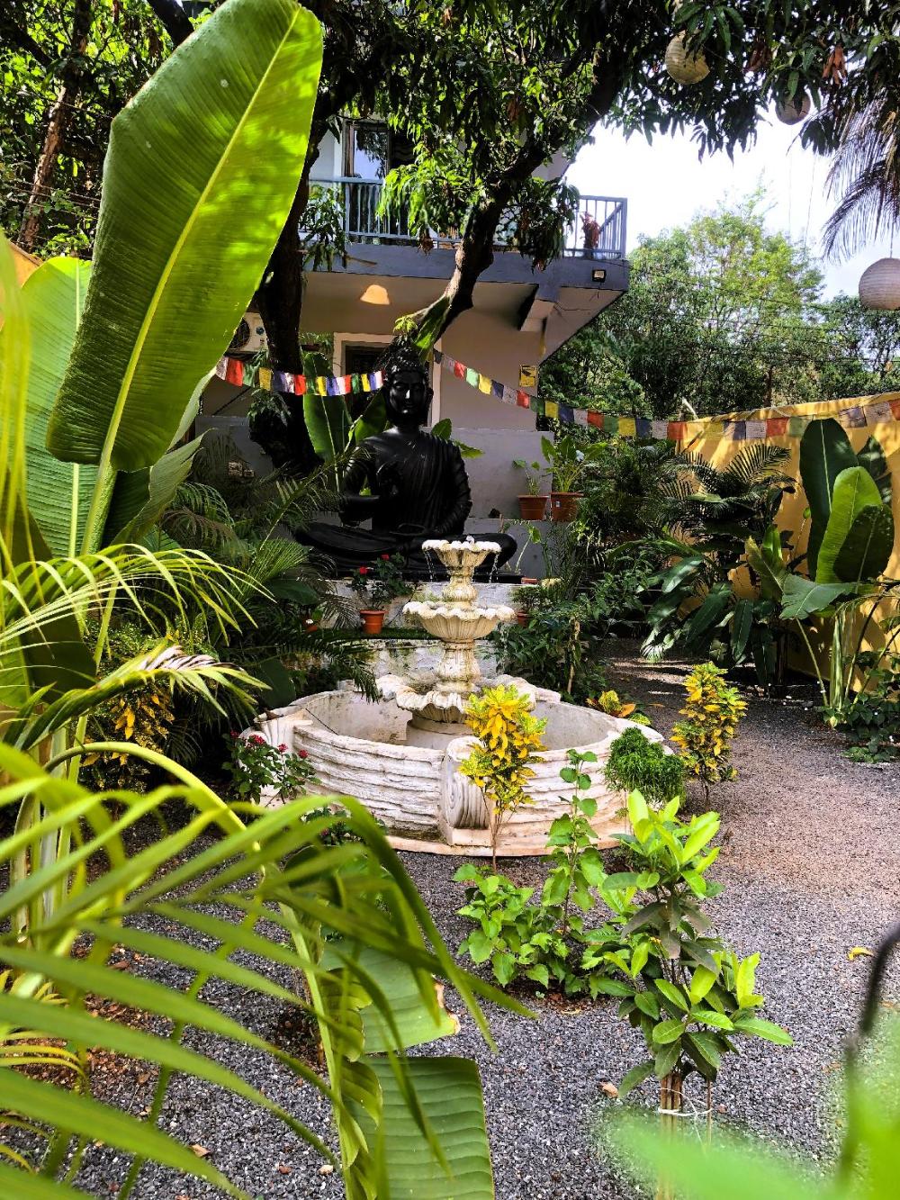 arambol bliss hote apartments