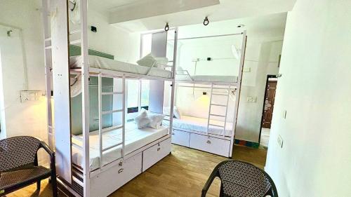 multiple stories udaipur