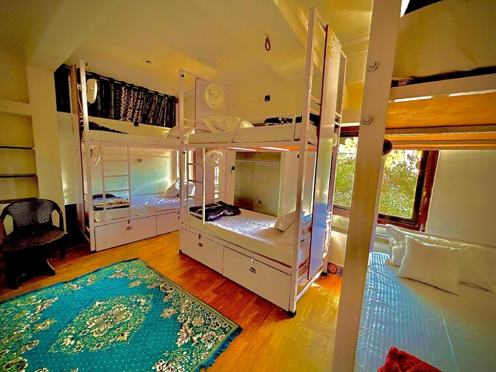 multiple stories udaipur