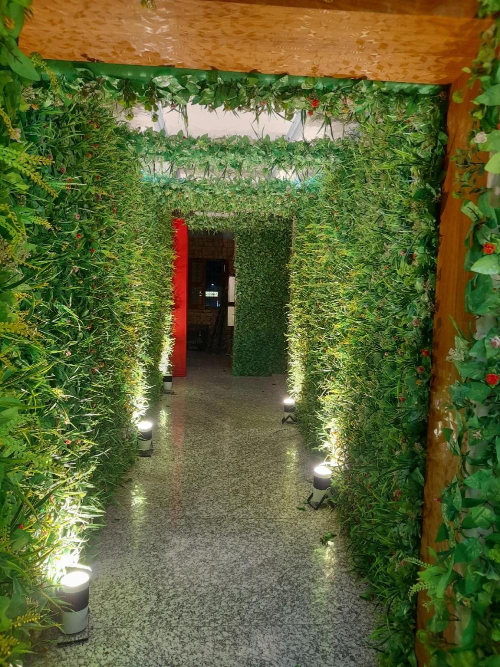 the patliputra chital