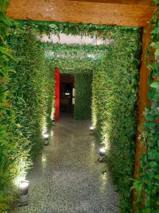 the patliputra chital