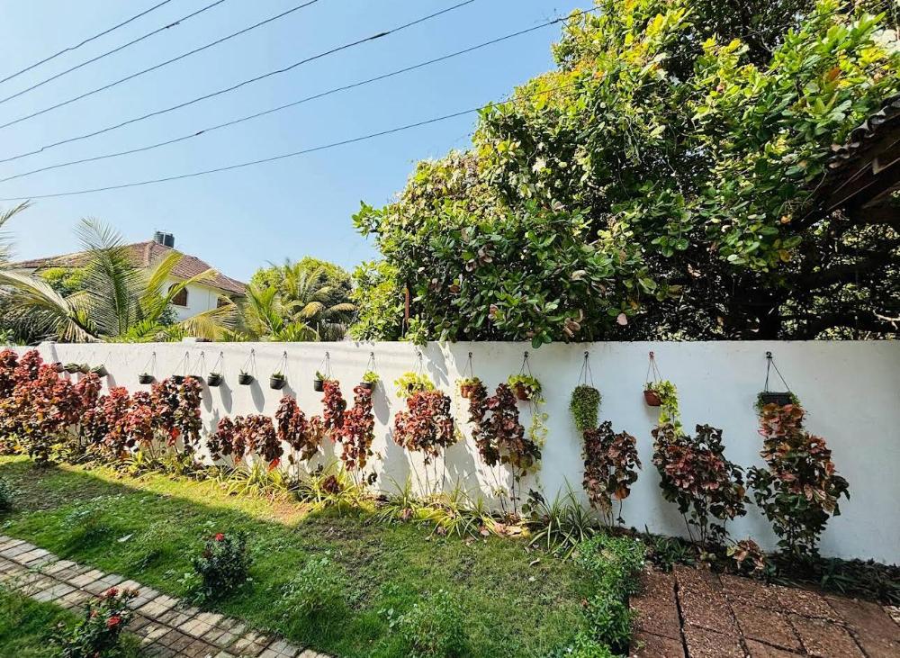 the bodhi tree resort