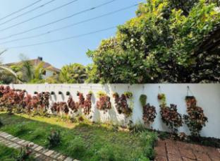 the bodhi tree resort