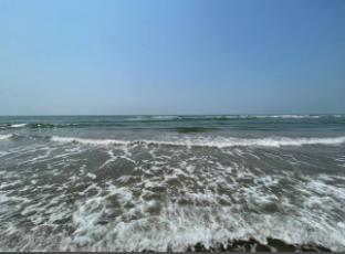 the bodhi tree resort